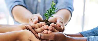 永利老品牌登录